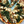 Load image into Gallery viewer, Gluten Free Pizza Bases (x2)
