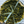 Load image into Gallery viewer, Kale & Basil Vegan Pesto