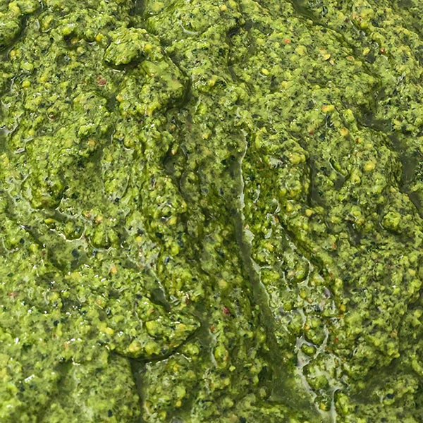 Kale & Basil Vegan Pesto